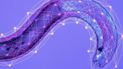 神经网络技术 电子产品世界的智能革命